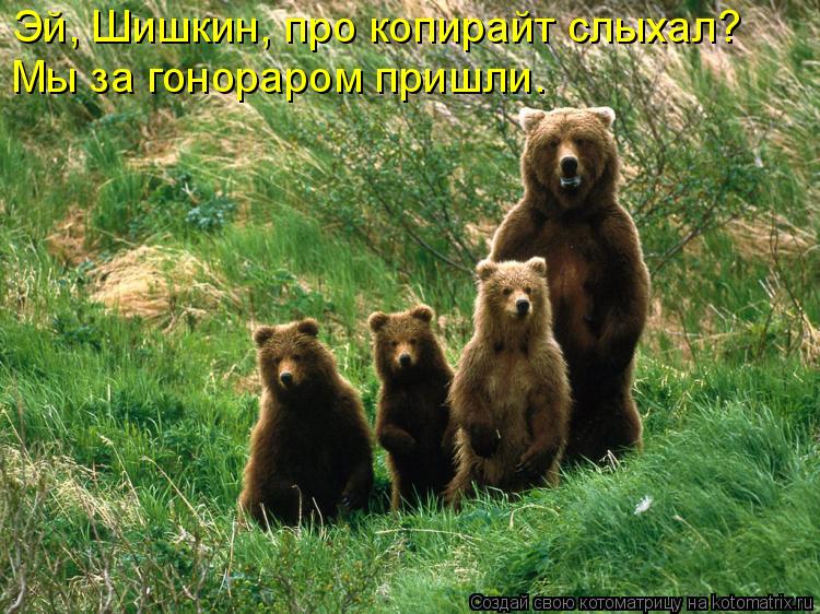 Котоматрица: Эй, Шишкин, про копирайт слыхал? Мы за гонораром пришли.