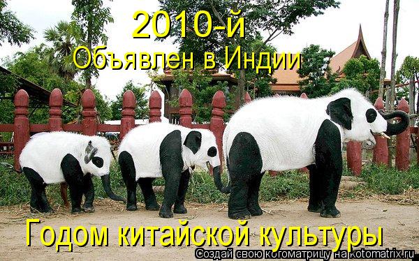 Котоматрица: 2010-й  Объявлен в Индии  Годом китайской культуры