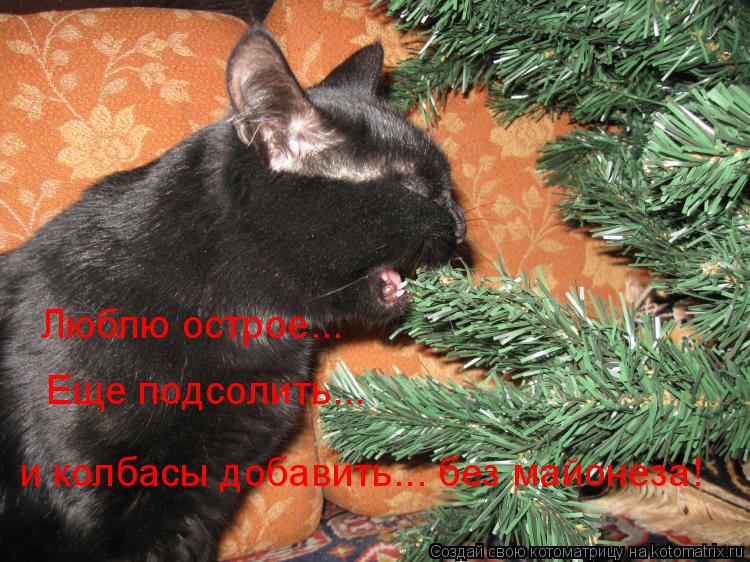 Котоматрица: Люблю острое... Еще подсолить... и колбасы добавить... без майонеза!