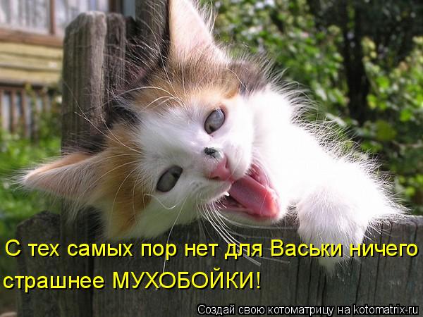 С тех самых пор нет для Васьки ничего страшнее МУХОБОЙКИ!... Котоматрица: С тех самых пор нет для Васьки ничего страшнее МУХОБОЙКИ!