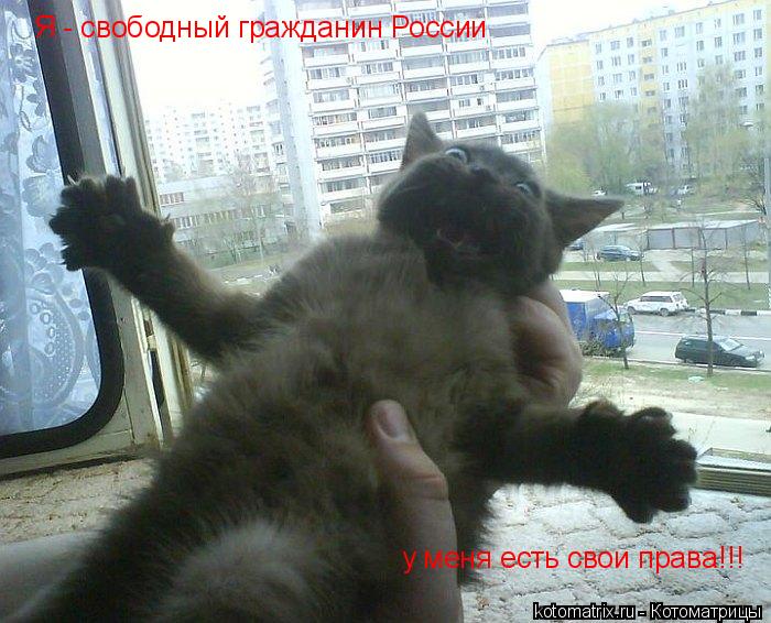 Я - свободный гражданин России у меня есть свои права!!!... Котоматрица: Я - свободный гражданин России у меня есть свои права!!!