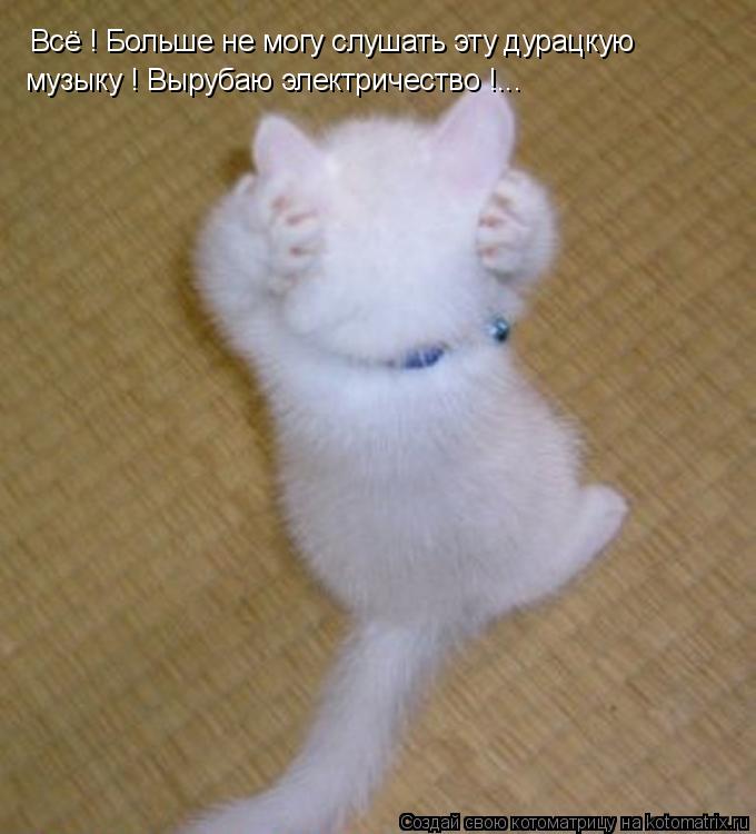 Всё ! Больше не могу слушать эту дурацкую музыку ! Вырубаю электричество !...... Котоматрица: Всё ! Больше не могу слушать эту дурацкую музыку ! Вырубаю электричество !...