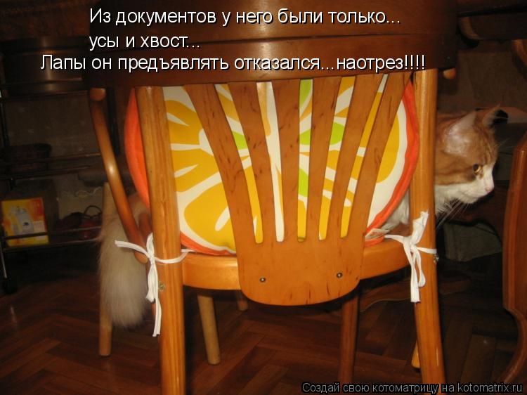 Из документов у него были только... усы и хвост... Лапы он предъявлять отказался...наотрез!!!!... Котоматрица: Из документов у него были только... усы и хвост... Лапы он предъявлять отказался...наотрез!!!!