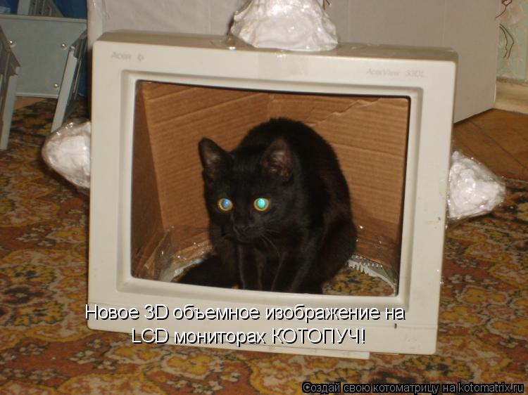 LCD мониторах КОТОПУЧ! Новое 3D объемное изображение на... Котоматрица: LCD мониторах КОТОПУЧ! Новое 3D объемное изображение на