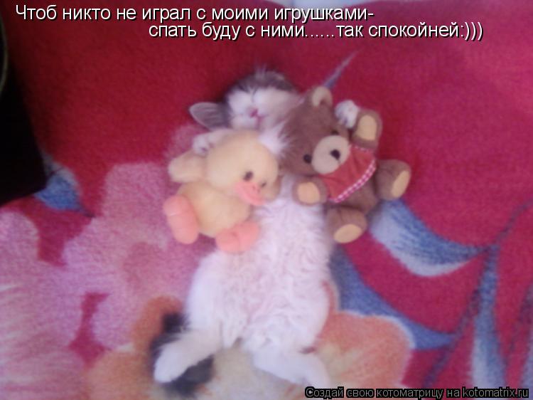 Чтоб никто не играл с моими игрушками- спать буду с ними......так спокойней:)))... Котоматрица: Чтоб никто не играл с моими игрушками- спать буду с ними......так спокойней:)))