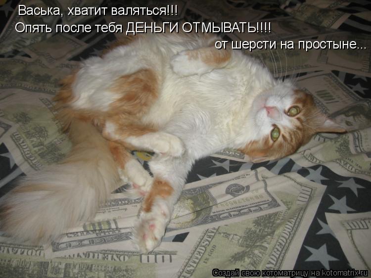 Васька, хватит валяться!!! от шерсти на простыне... Опять после тебя ДЕНЬГИ ОТМЫВАТЬ!!!!... Котоматрица: Васька, хватит валяться!!! от шерсти на простыне... Опять после тебя ДЕНЬГИ ОТМЫВАТЬ!!!!