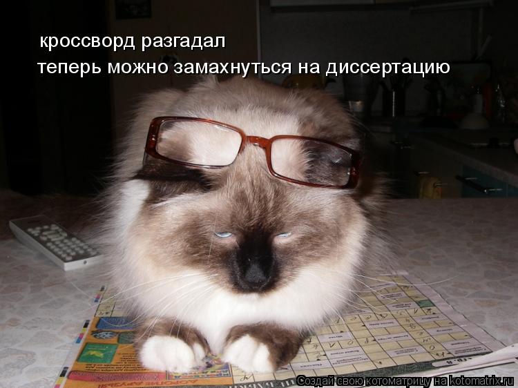 кроссворд разгадал теперь можно замахнуться на диссертацию... Котоматрица: кроссворд разгадал теперь можно замахнуться на диссертацию