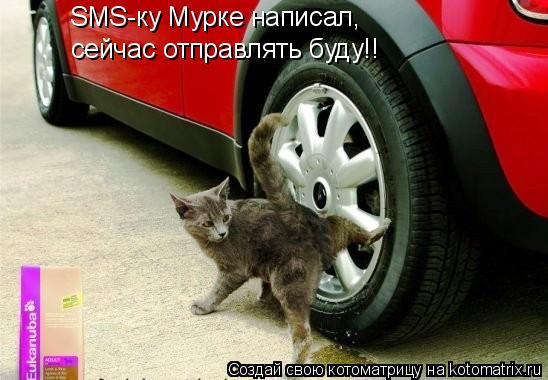 SMS-ку Мурке написал, сейчас отправлять буду!!... Котоматрица: SMS-ку Мурке написал, сейчас отправлять буду!!