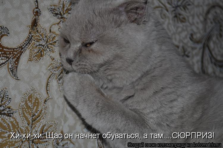 - Хи-хи-хи. Щас он начнет обуваться, а там....СЮРПРИЗ!... Котоматрица: - Хи-хи-хи. Щас он начнет обуваться, а там....СЮРПРИЗ!