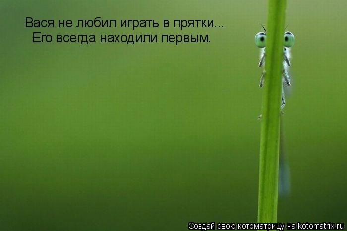Вася не любил играть в прятки... Его всегда находили первым.... Котоматрица: Вася не любил играть в прятки... Его всегда находили первым.