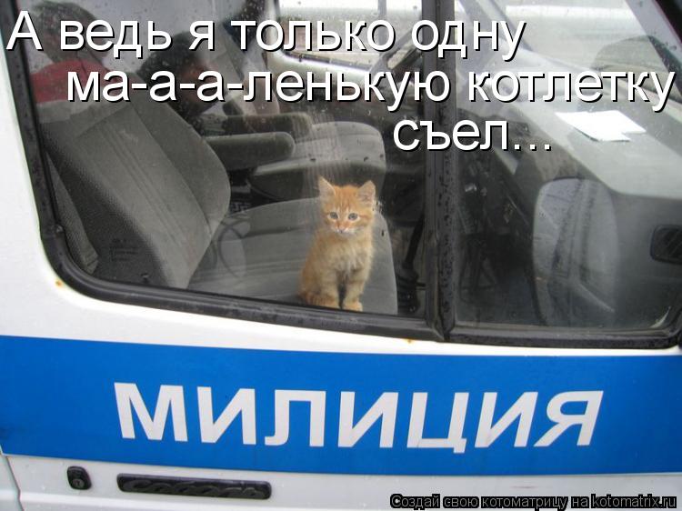 А ведь я только одну ма-а-а-ленькую котлетку съел...... Котоматрица: А ведь я только одну ма-а-а-ленькую котлетку съел...