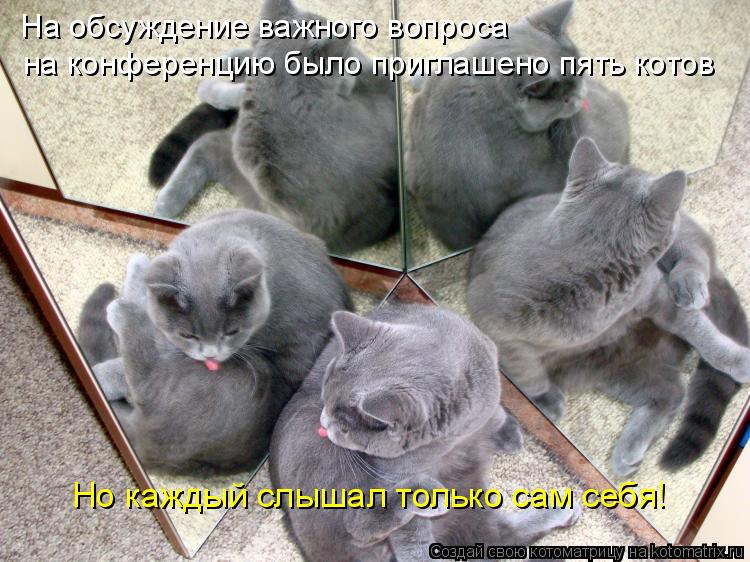 На обсуждение важного вопроса на конференцию было приглашено пять котов Но каждый слышал только сам с... Котоматрица: На обсуждение важного вопроса на конференцию было приглашено пять котов Но каждый слышал только сам себя!