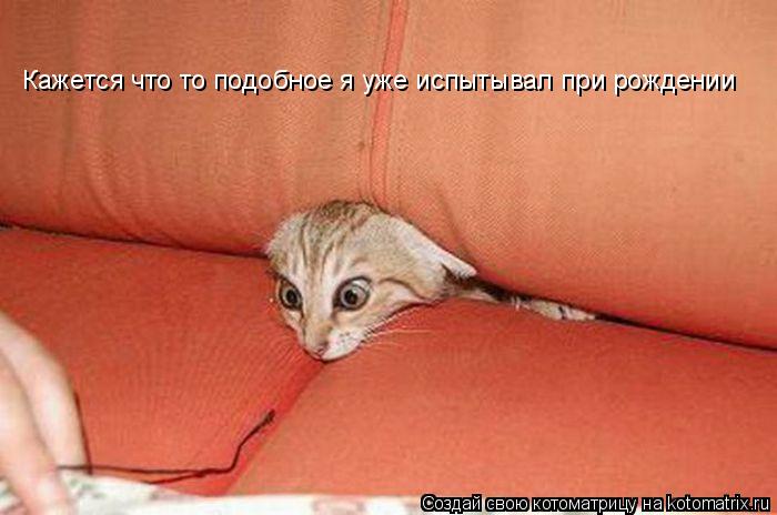 Кажется что то подобное я уже испытывал при рождении... Котоматрица: Кажется что то подобное я уже испытывал при рождении