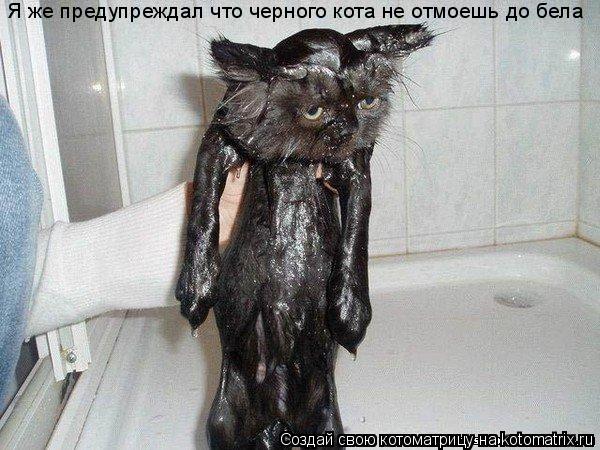 Я же предупреждал что черного кота не отмоешь до бела... Котоматрица: Я же предупреждал что черного кота не отмоешь до бела