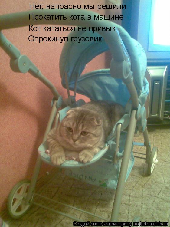 Нет, напрасно мы решили Нет, напрасно мы решили Прокатить кота в машине Кот кататься не привык - Опро... Котоматрица: Нет, напрасно мы решили Нет, напрасно мы решили Прокатить кота в машине Кот кататься не привык - Опрокинул грузовик