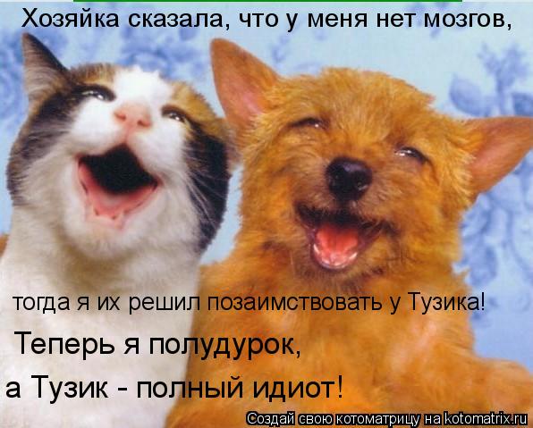 Хозяйка сказала, что у меня нет мозгов, тогда я их решил позаимствовать у Тузика! Теперь я полудурок,... Котоматрица: Хозяйка сказала, что у меня нет мозгов, тогда я их решил позаимствовать у Тузика! Теперь я полудурок, а Тузик - полный идиот!