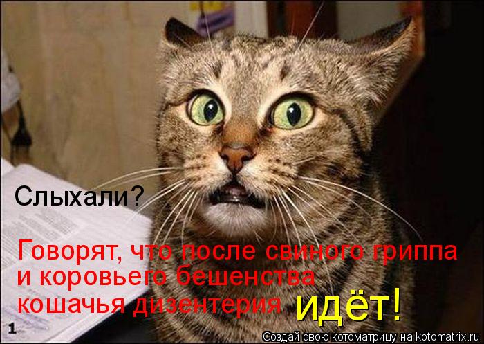 http://kotomatrix.ru/images/lolz/2010/01/13/457746.jpg