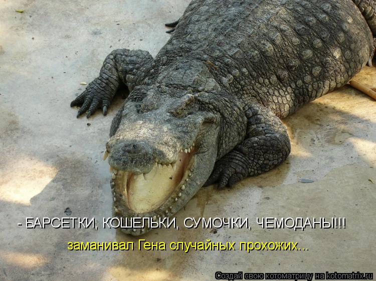 Котоматрица: - БАРСЕТКИ, КОШЕЛЬКИ, СУМОЧКИ, ЧЕМОДАНЫ!!! заманивал Гена случайных прохожих...