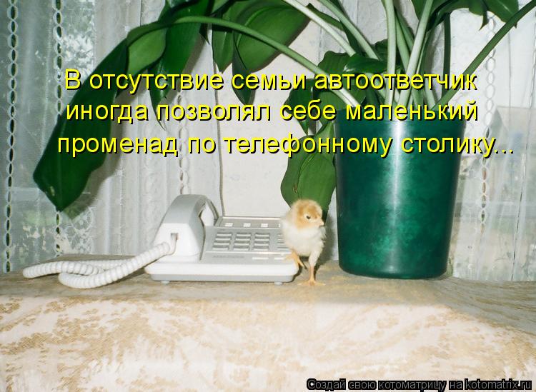 Котоматрица: В отсутствие семьи автоответчик  иногда позволял себе маленький  променад по телефонному столику...