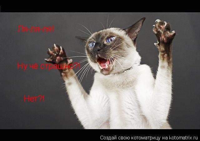 Котоматрица: Ля-ля-ля! Ну чё страшно?! Нет?!