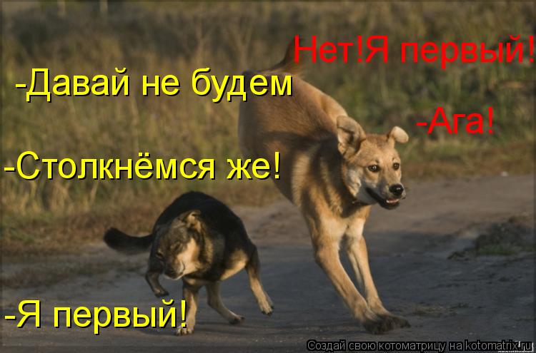 -Я первый! Нет!Я первый! -Столкнёмся же! -Ага! -Давай не будем... Котоматрица: -Я первый! Нет!Я первый! -Столкнёмся же! -Ага! -Давай не будем