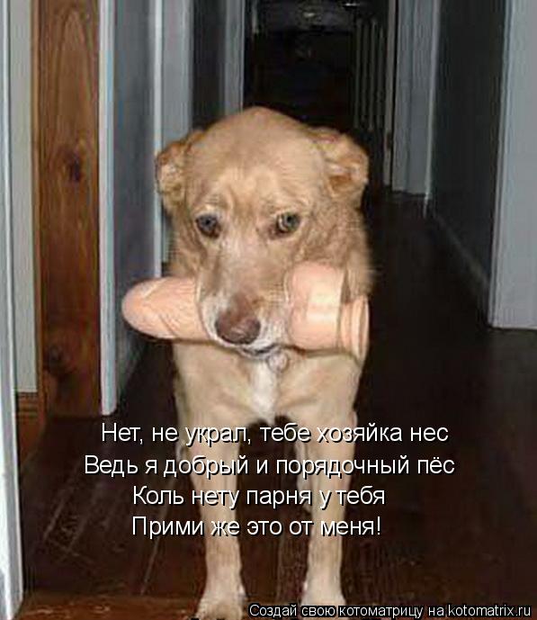 Нет, не украл, тебе хозяйка нес Нет, не украл, тебе хозяйка нес Ведь я добрый и порядочный пёс Коль н... Котоматрица: Нет, не украл, тебе хозяйка нес Нет, не украл, тебе хозяйка нес Ведь я добрый и порядочный пёс Коль нету парня у тебя Прими же это от меня!