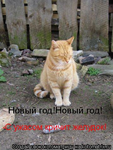 Новый год!Новый год! -С ужасом кричит желудок!... Котоматрица: Новый год!Новый год! -С ужасом кричит желудок!