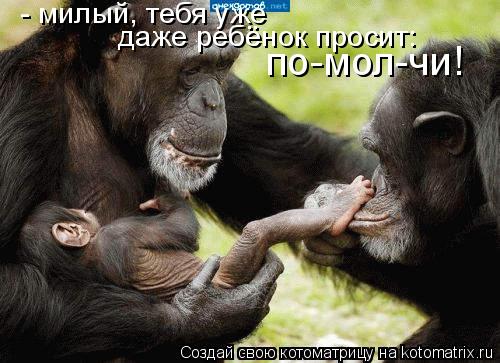 - милый, тебя уже даже ребёнок просит: по-мол-чи!... Котоматрица: - милый, тебя уже даже ребёнок просит: по-мол-чи!