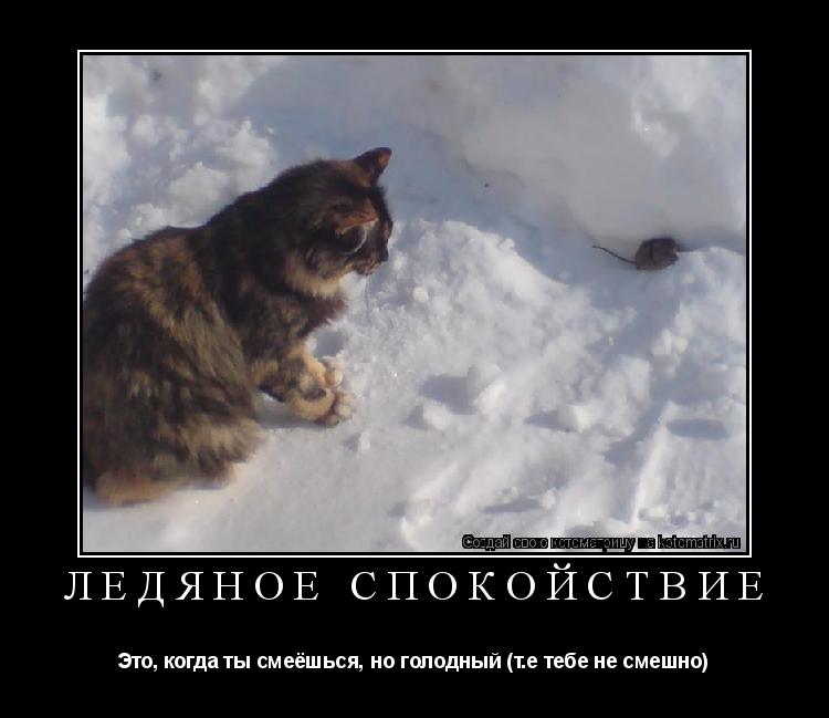Котоматрица: Ледяное спокойствие Это, когда ты смеёшься, но голодный (т.е тебе не смешно)