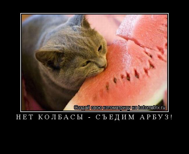 Котоматрица: НЕТ КОЛБАСЫ - СЪЕДИМ АРБУЗ! 