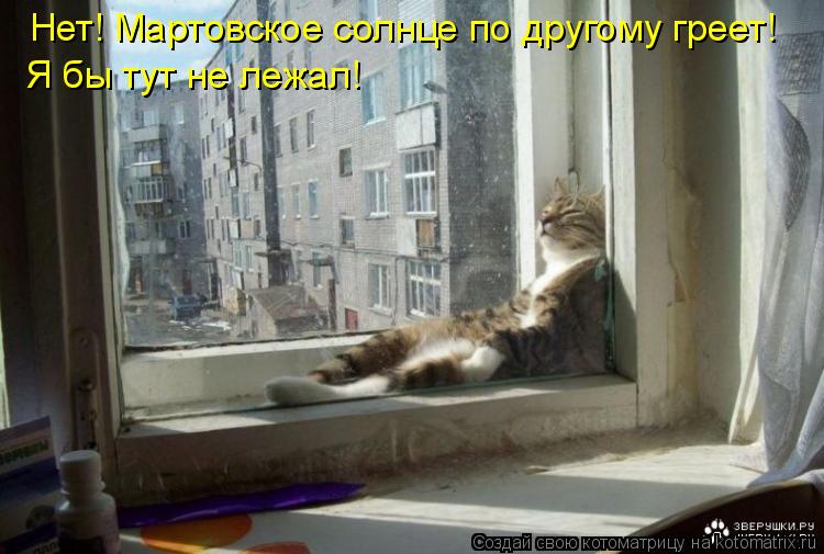 Нет! Мартовское солнце по другому греет! Я бы тут не лежал!... Котоматрица: Нет! Мартовское солнце по другому греет! Я бы тут не лежал!