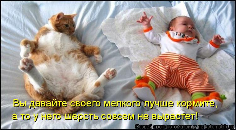 Котоматрица: Вы давайте своего мелкого лучше кормите, а то у него шерсть совсем не вырастет!