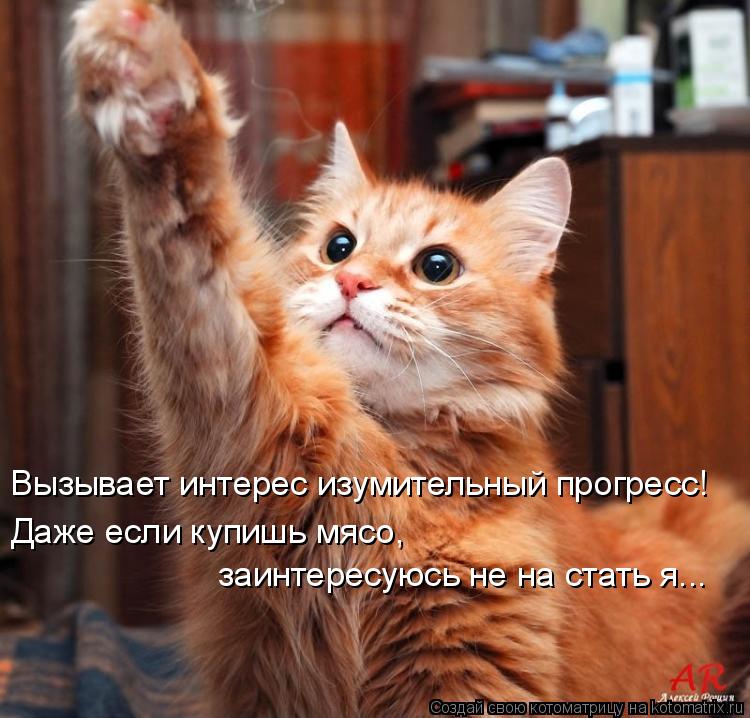 Вызывает интерес изумительный прогресс! Даже если купишь мясо, заинтересуюсь не на стать я...... Котоматрица: Вызывает интерес изумительный прогресс! Даже если купишь мясо, заинтересуюсь не на стать я...