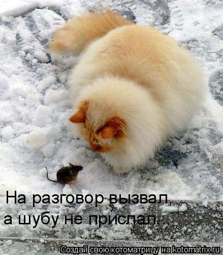 На разговор вызвал, а шубу не прислал...... Котоматрица: На разговор вызвал, а шубу не прислал...