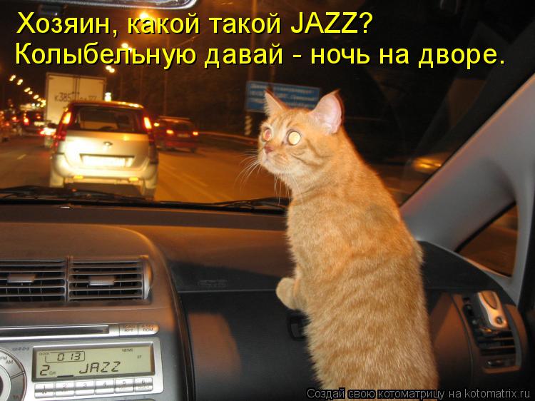 Хозяин, какой такой JAZZ? Колыбельную давай - ночь на дворе.... Котоматрица: Хозяин, какой такой JAZZ? Колыбельную давай - ночь на дворе.