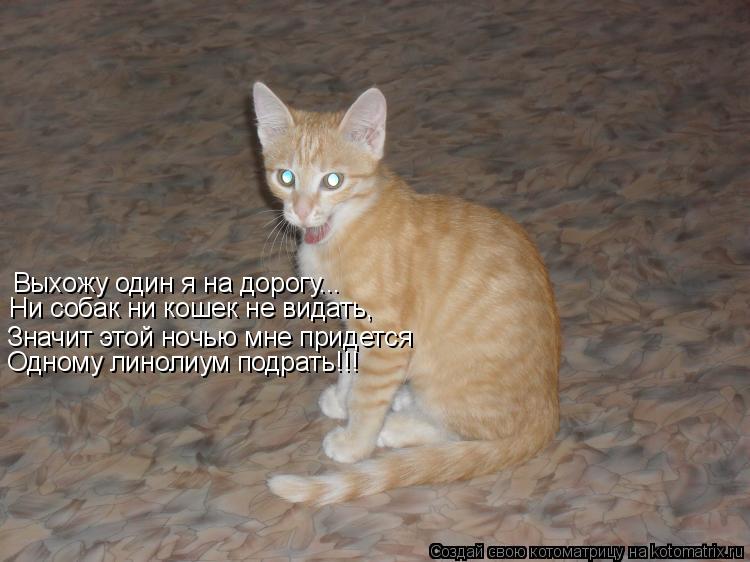 Выхожу один я на дорогу... Ни собак ни кошек не видать, Значит этой ночью мне придется Одному линолиу... Котоматрица: Выхожу один я на дорогу... Ни собак ни кошек не видать, Значит этой ночью мне придется Одному линолиум подрать!!!