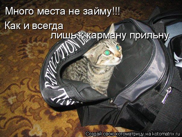 Котоматрица: Много места не займу!!! Как и всегда  лишь к карману прильну.