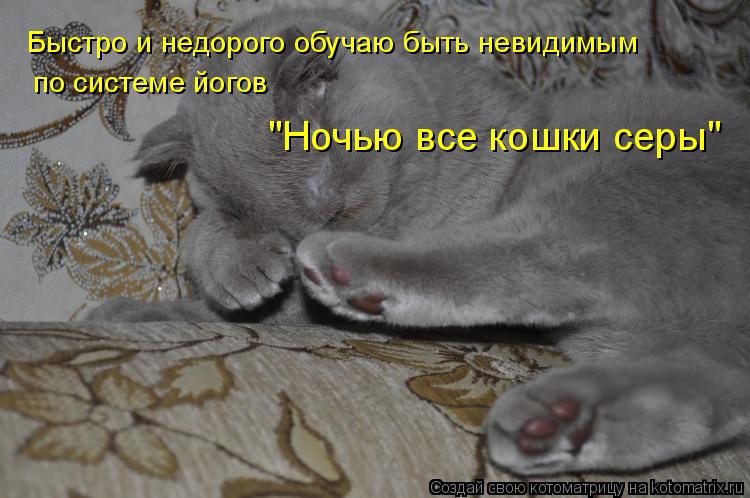 Быстро и недорого обучаю быть невидимым по системе йогов "Ночью все кошки серы"... Котоматрица: Быстро и недорого обучаю быть невидимым по системе йогов "Ночью все кошки серы"