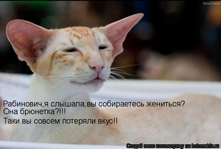 Рабинович,я слышала,вы собираетесь жениться? Она брюнетка?!!! Таки вы совсем потеряли вкус!!... Котоматрица: Рабинович,я слышала,вы собираетесь жениться? Она брюнетка?!!! Таки вы совсем потеряли вкус!!