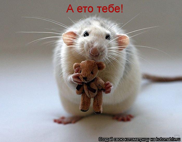 Котоматрица: А ето тебе!