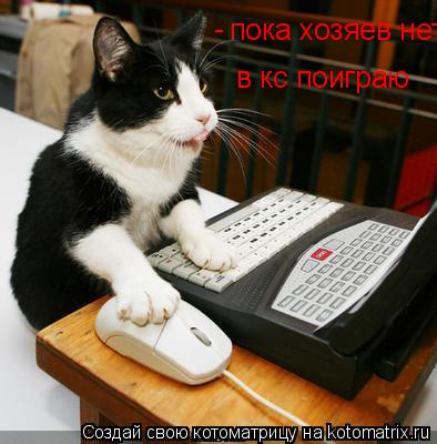Котоматрица: пока хозяев нет в кс поиграю -