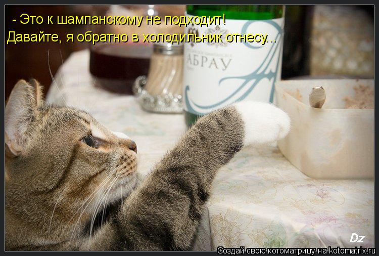 Котоматрица: - Это к шампанскому не подходит! Давайте, я обратно в холодильник отнесу...