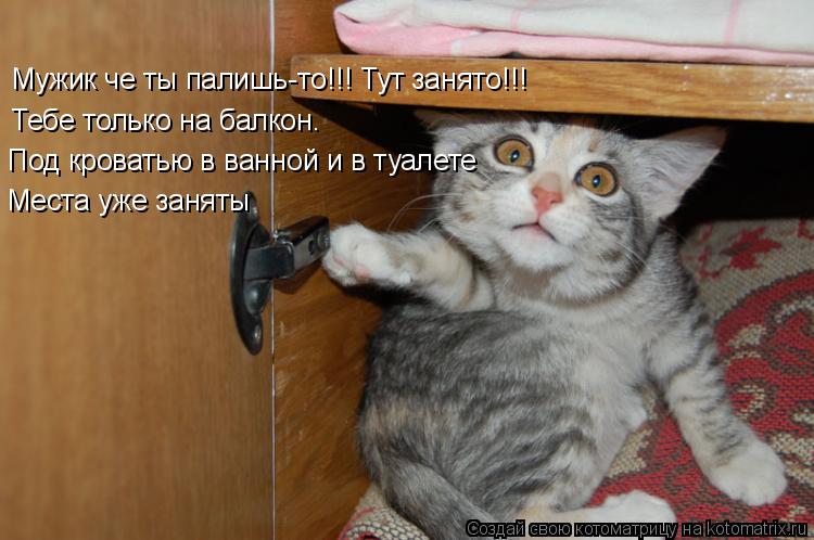 Мужик че ты палишь-то!!! Тут занято!!! Тебе только на балкон. Под кроватью в ванной и в туалете Мест... Котоматрица: Мужик че ты палишь-то!!! Тут занято!!! Тебе только на балкон. Под кроватью в ванной и в туалете Места уже заняты