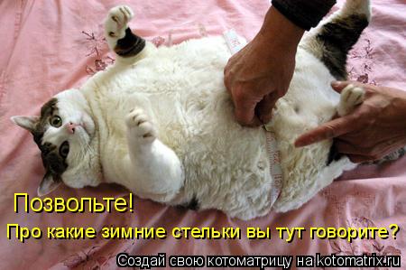 Котоматрица: Позвольте!  Про какие зимние стельки вы тут говорите?