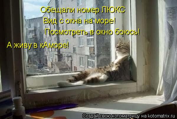Котоматрица: Обещали номер ЛЮКС Вид с окна на море! Посмотреть в окно боюсь! А живу в кАморе!