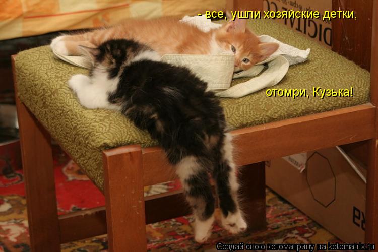 - все, ушли хозяйские детки, отомри, Кузька!... Котоматрица: - все, ушли хозяйские детки, отомри, Кузька!