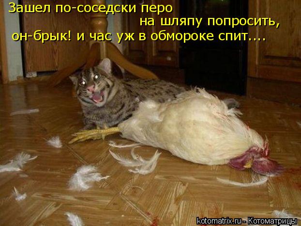 Котоматрица: Зашел по-соседски перо на шляпу попросить, он-брык! и час уж в обмороке спит....