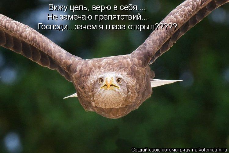 Вижу цель, верю в себя.... Не замечаю препятствий.... Господи...зачем я глаза открыл?????.... Котоматрица: Вижу цель, верю в себя.... Не замечаю препятствий.... Господи...зачем я глаза открыл?????.