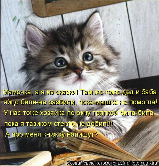 Мамочка, а я из сказки! Там же тоже дед и баба яйцо били-не разбили, пока мышка не помогла! У нас т... Котоматрица: Мамочка, а я из сказки! Там же тоже дед и баба яйцо били-не разбили, пока мышка не помогла! У нас тоже хозяйка по окну тряпкой била-била пока я