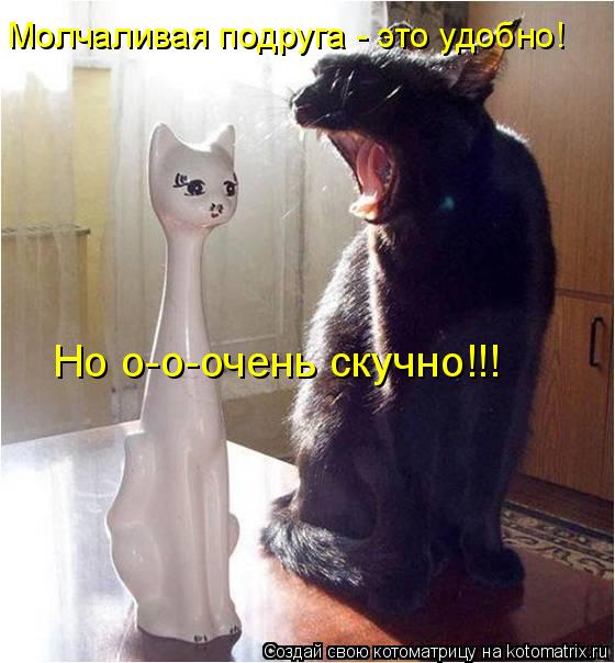 Молчаливая подруга - это удобно! Но о-о-очень скучно!!!... Котоматрица: Молчаливая подруга - это удобно! Но о-о-очень скучно!!!